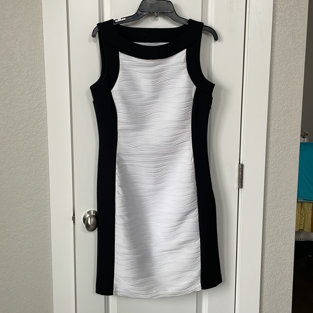 Sharagano bodycon dress